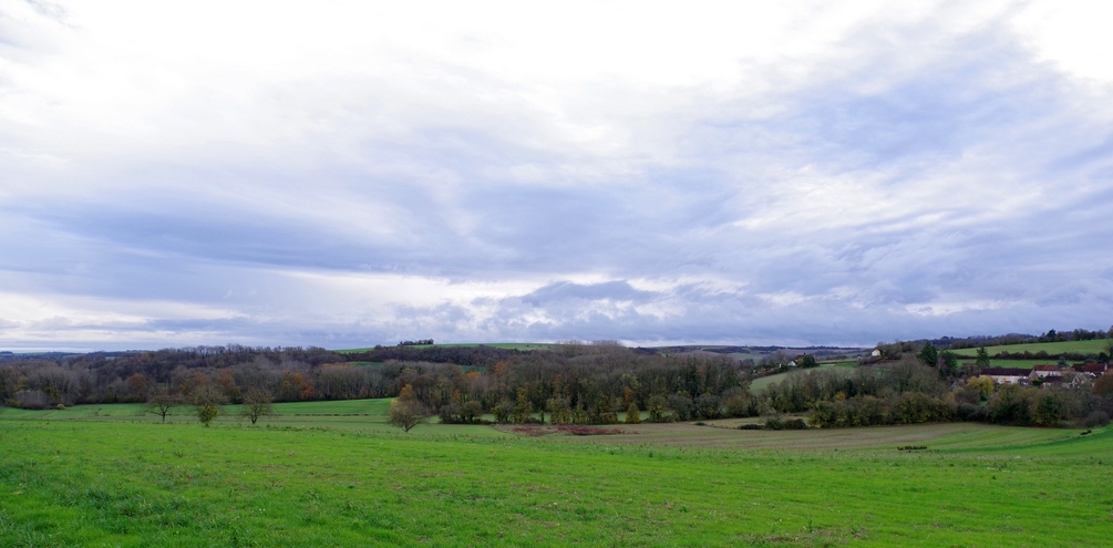 IMGP2297.jpg
