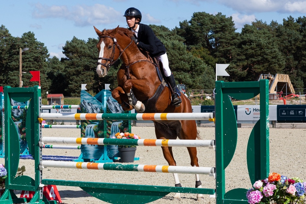 IMG_207A2381 chevaux recadré (1 sur 1).jpg