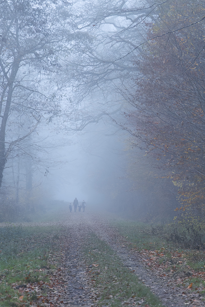 Promenade.jpg