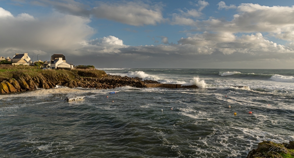 _DSC3875-1.jpg