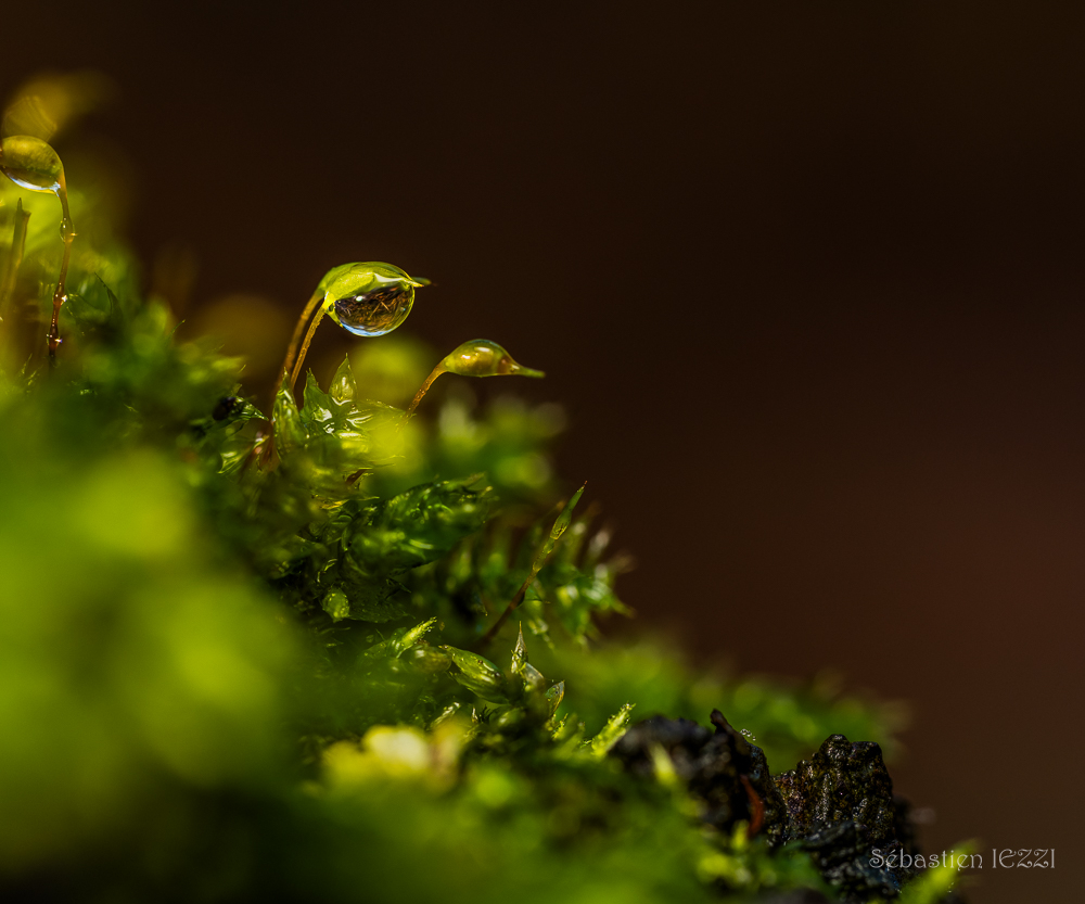 2025-11-27 06-31-27 (B,Radius7,Smoothing6)-2.jpg