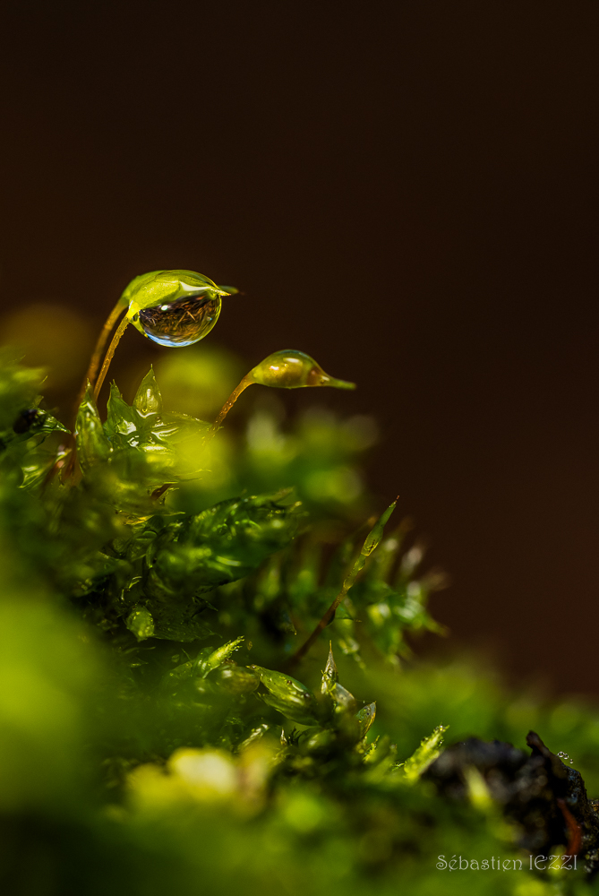 2025-11-27 06-31-27 (B,Radius7,Smoothing6).jpg