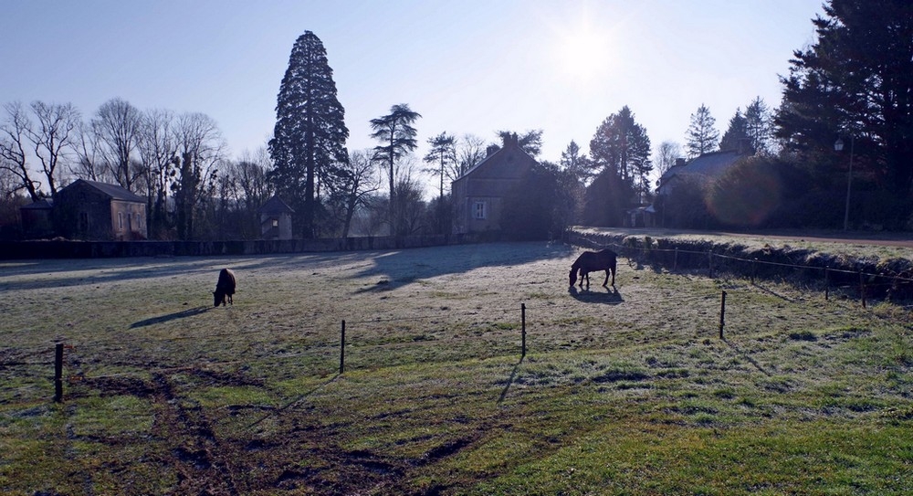 26 12 25 Druyes (7).jpg