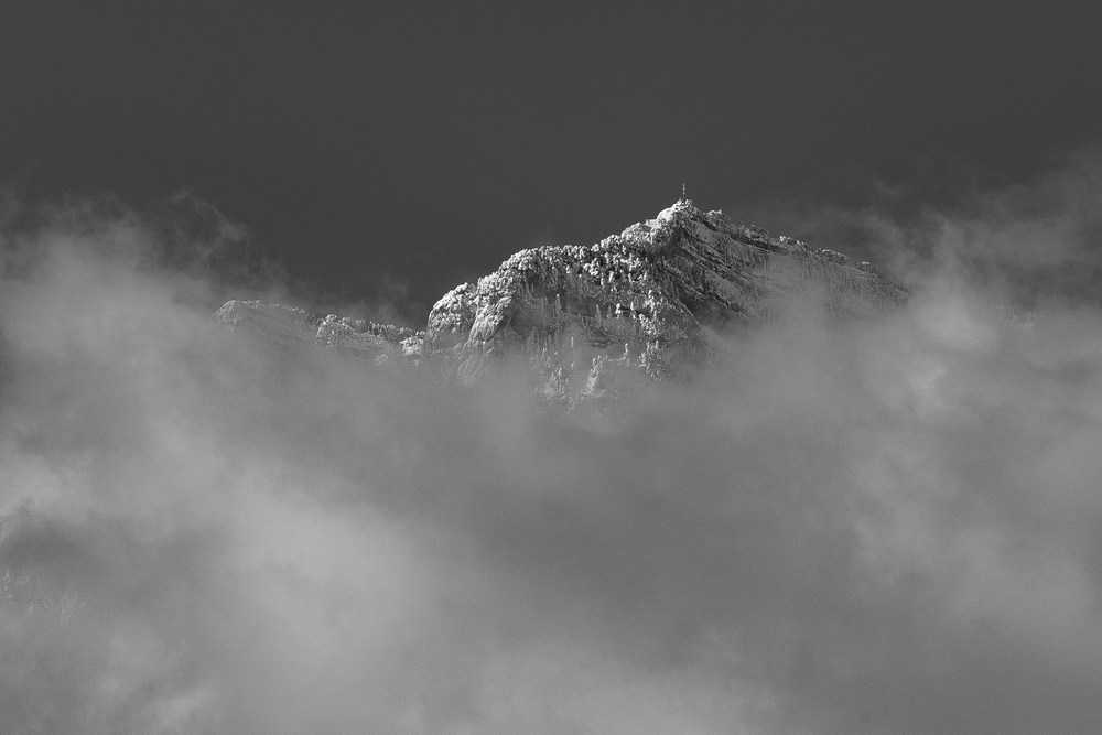 2G6A7663-2.jpg