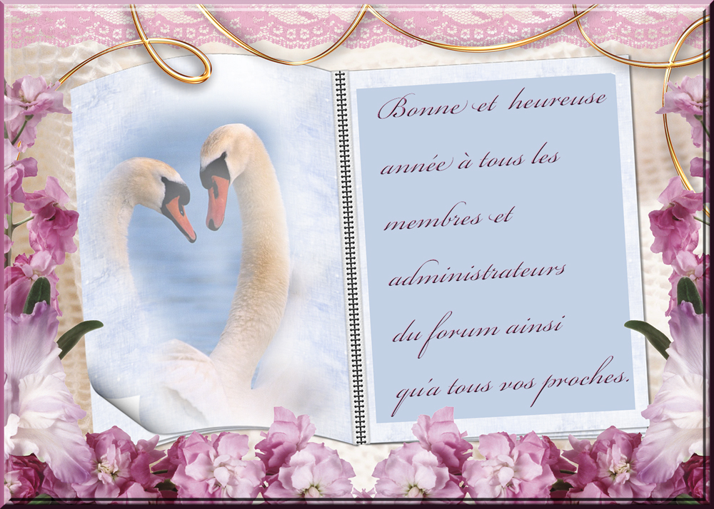 Pour Forum photo.jpg