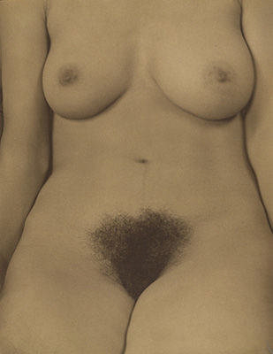 STIEGLITZ_004.jpg