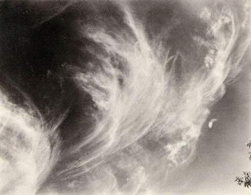 STIEGLITZ_005.jpg