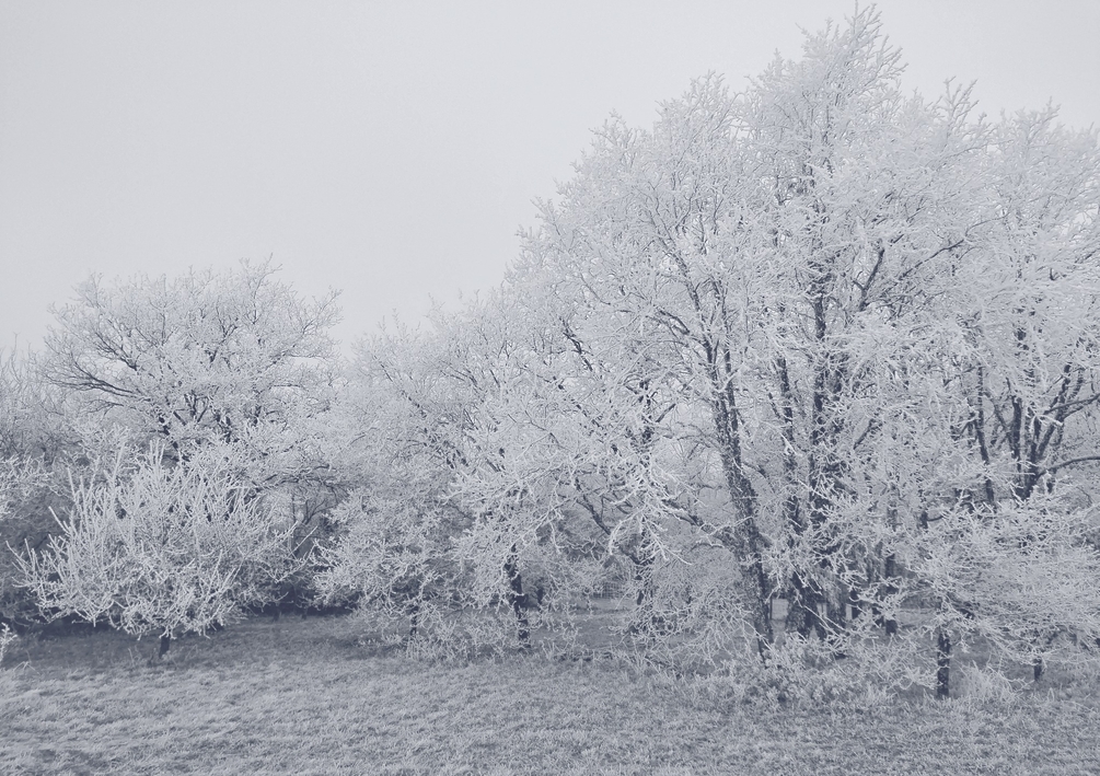 05 01 26 froide et douce..jpg