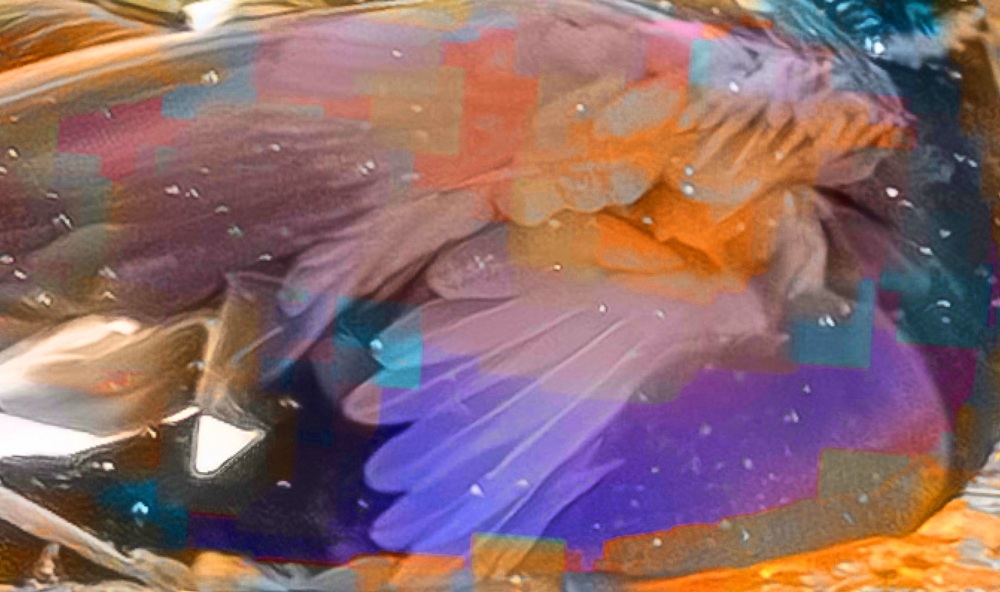 Capture d’écran 2026-01-08 131206.jpg