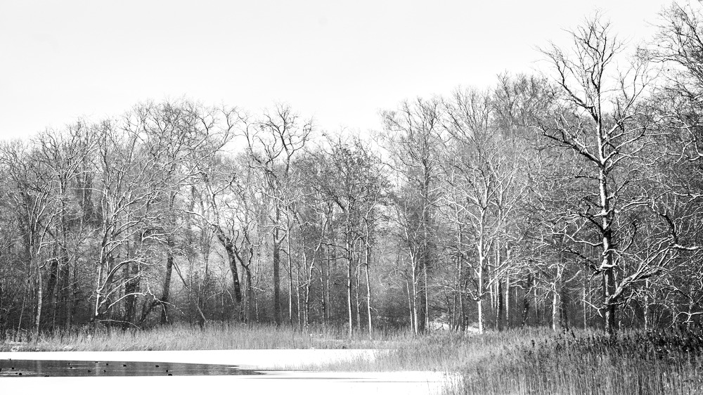 DSC05704_01.jpg