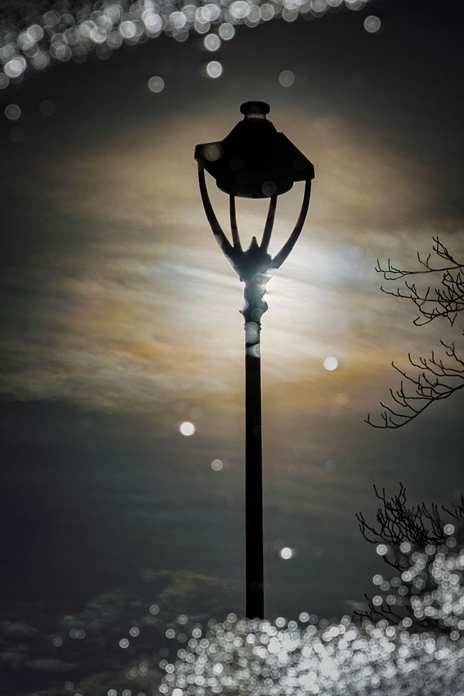 IMG_3684-1 copie.jpg