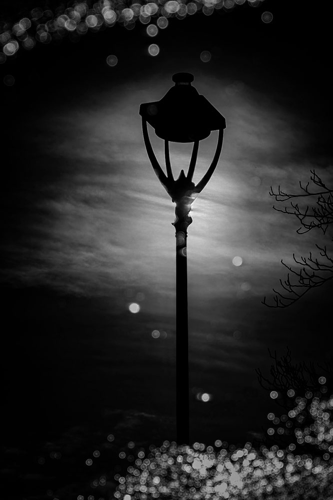 IMG_3684-2 copie.jpg