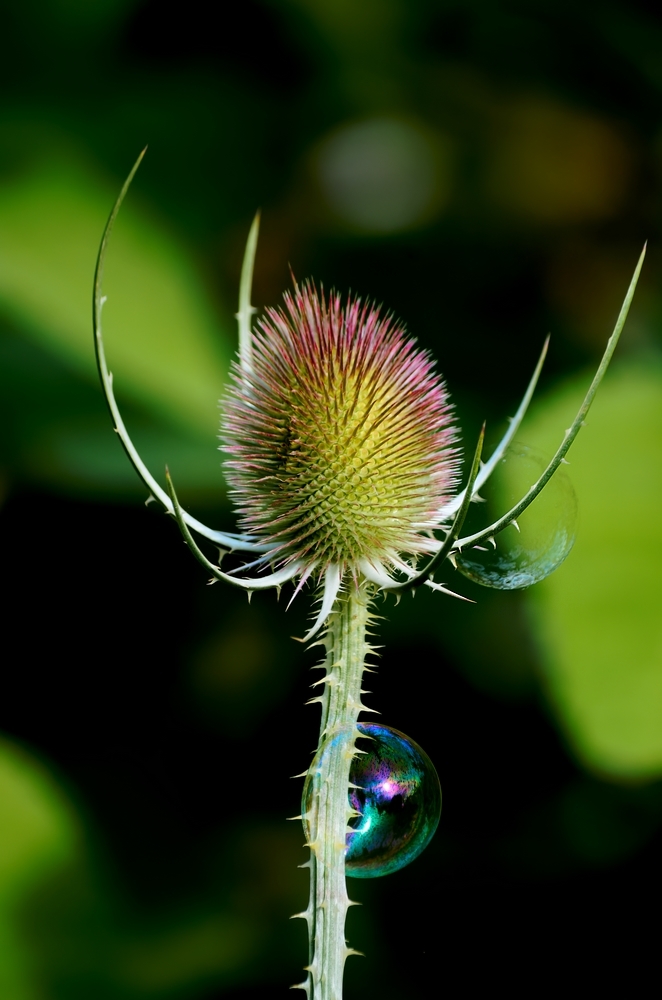 IP couleur 2025 (36).jpg