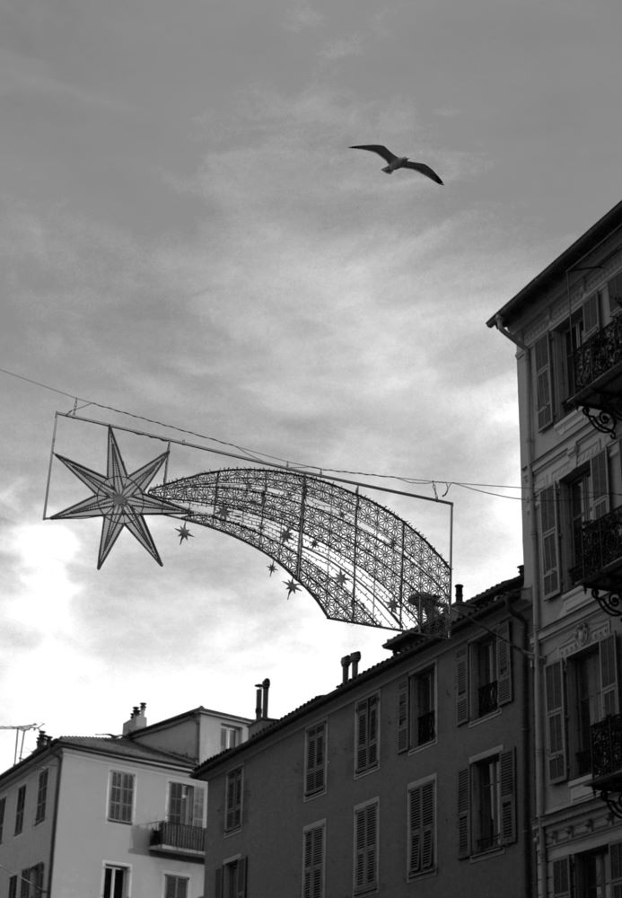 JPEG Copie DSC_0238.jpg