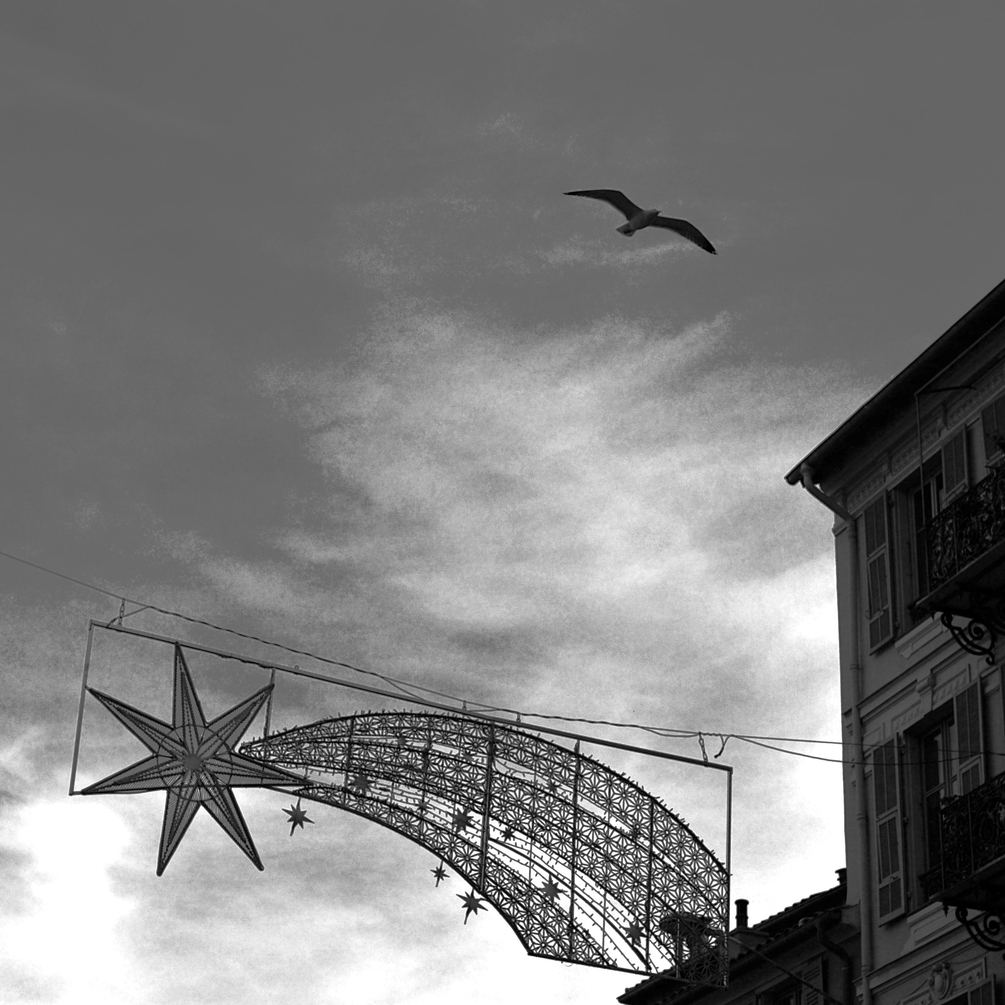 JPEG Copie DSC_0238.jpeg