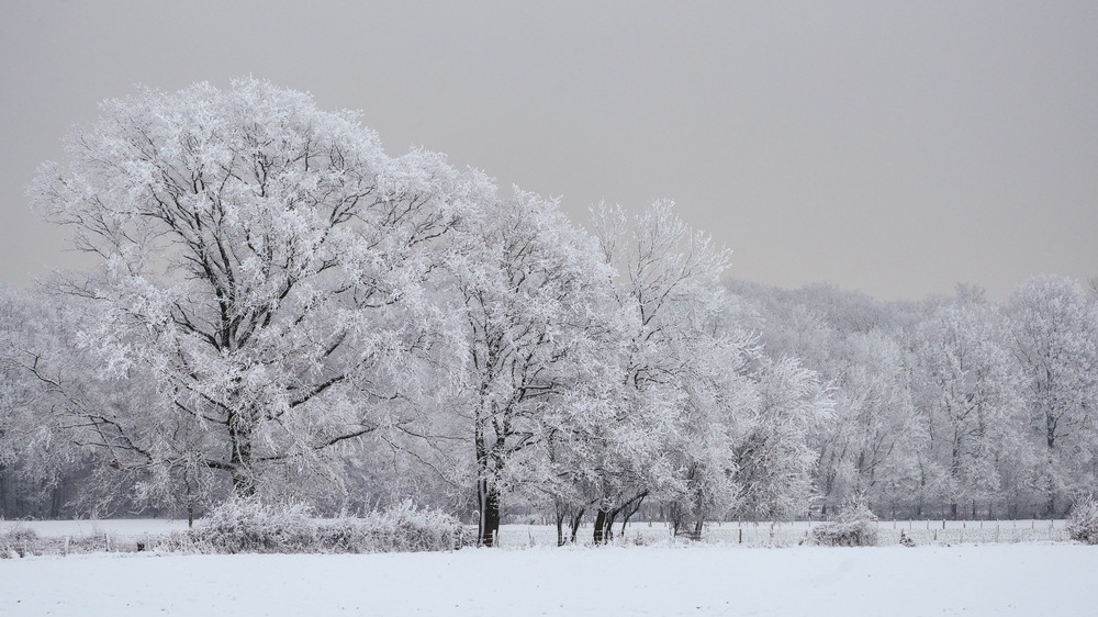 Neige arg janv 2026-1.jpg