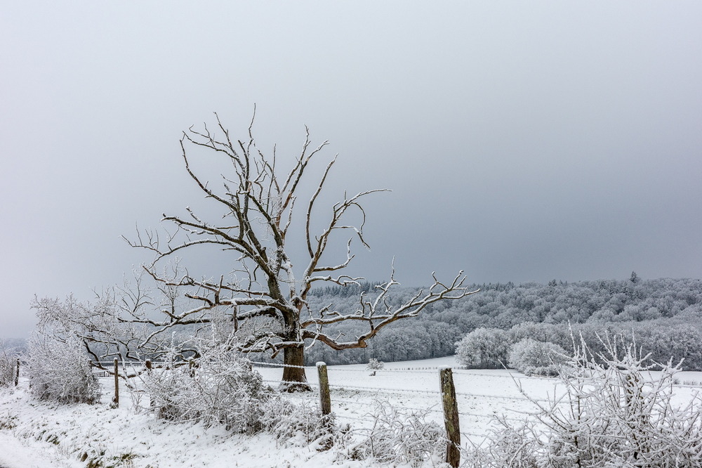 Neige arg janv 2026-10.jpg