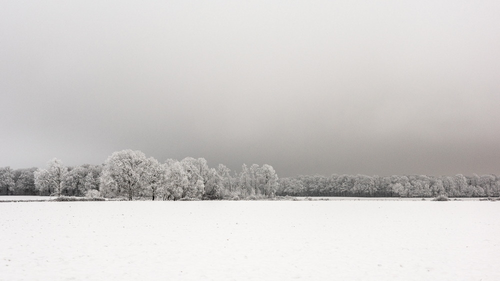 Neige arg janv 2026-3.jpg