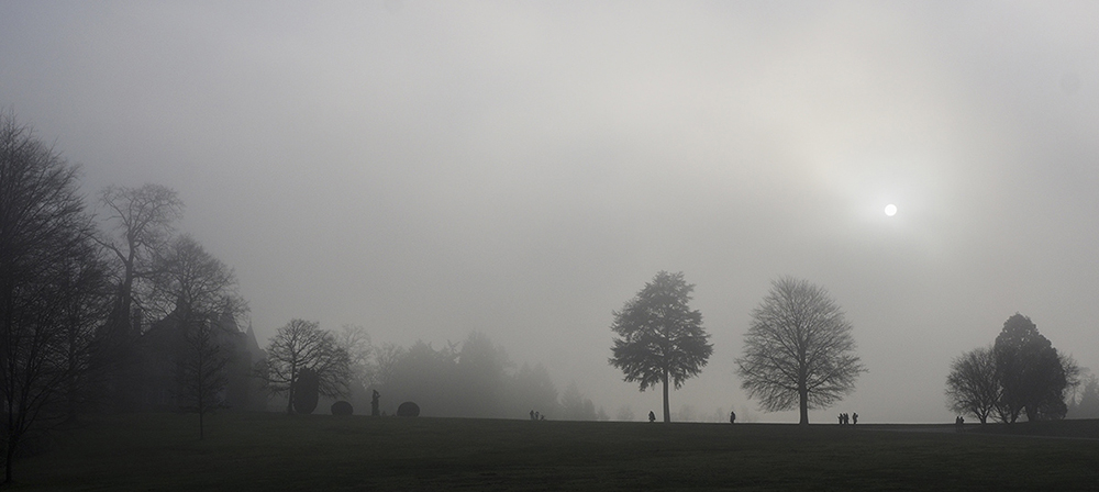 P1090013_1_1000a.jpg