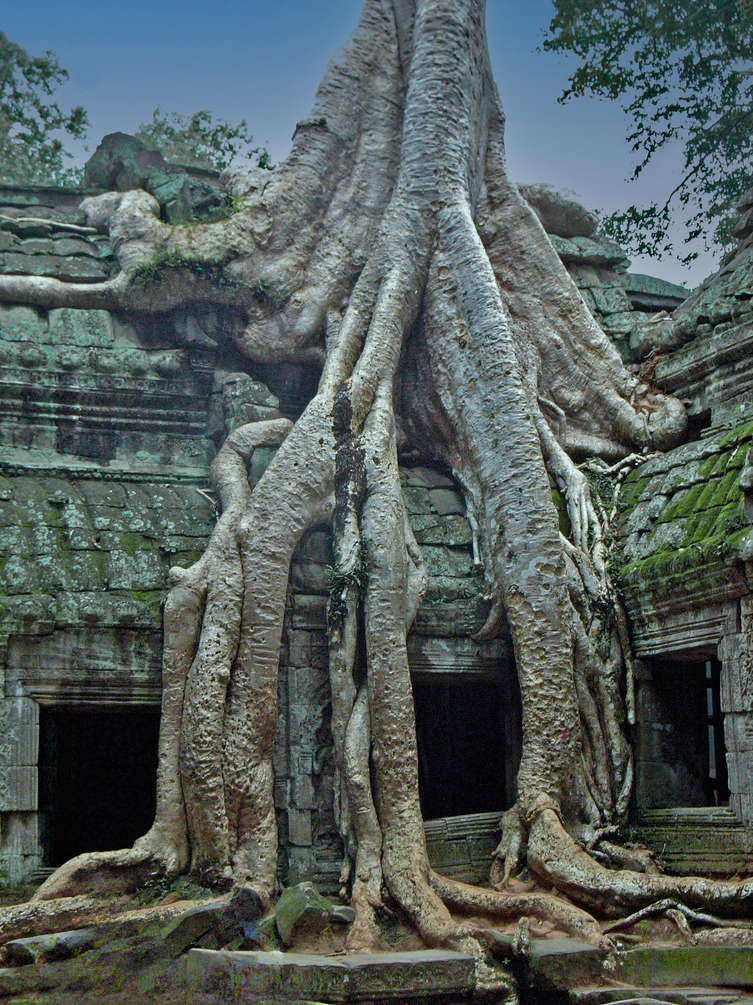 TempledAnkor.jpg.cda2212ffbb36397d9b008a87d38e3aa_R2.jpg
