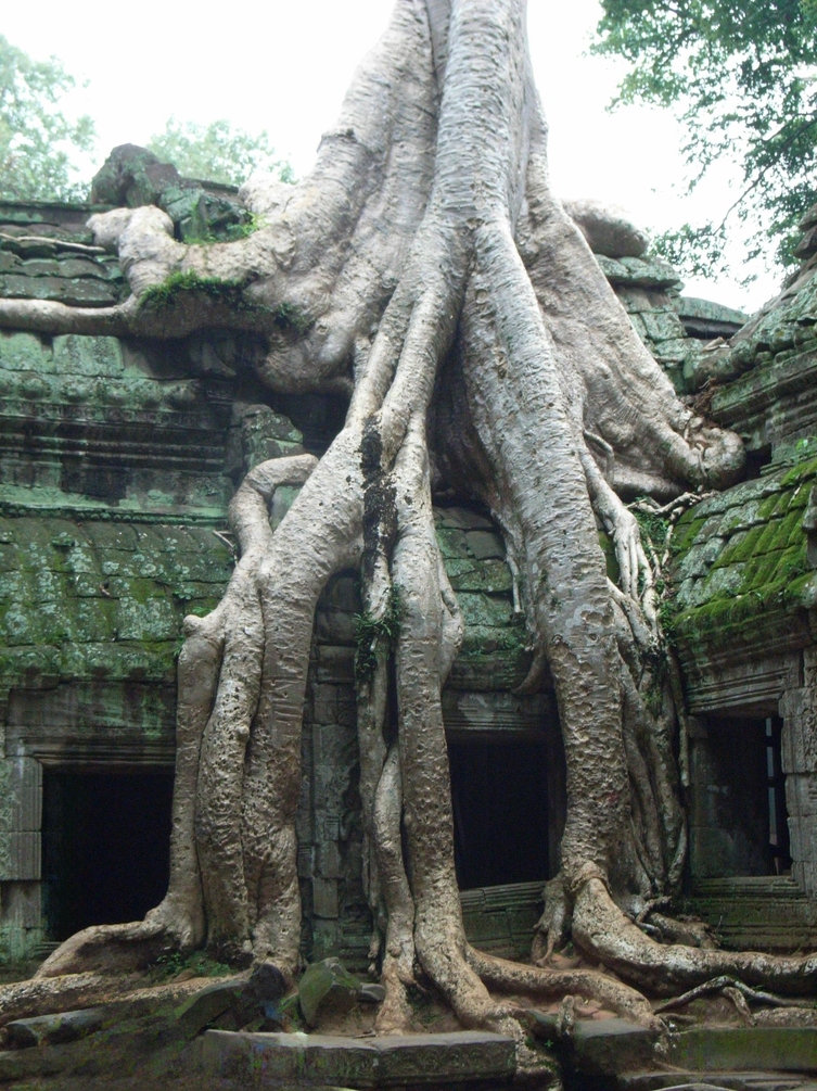 Temple d'Ankor.jpg