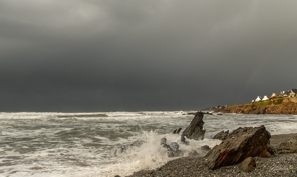 _DSC4550-1.jpg