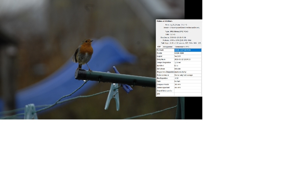 rg_12_01 one.jpg exifs.jpg