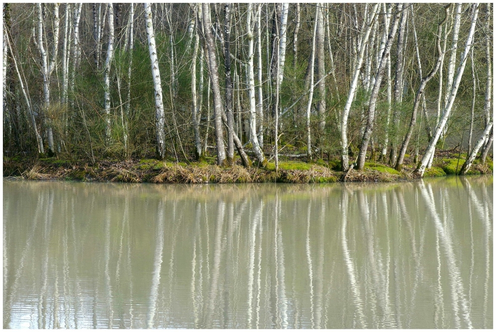 25 01 26 ST Félix (2).jpg