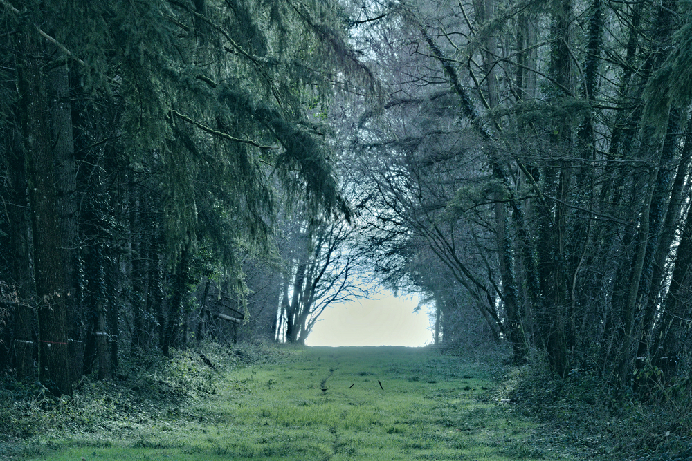 29 01 26 Grandchamps (15).jpg