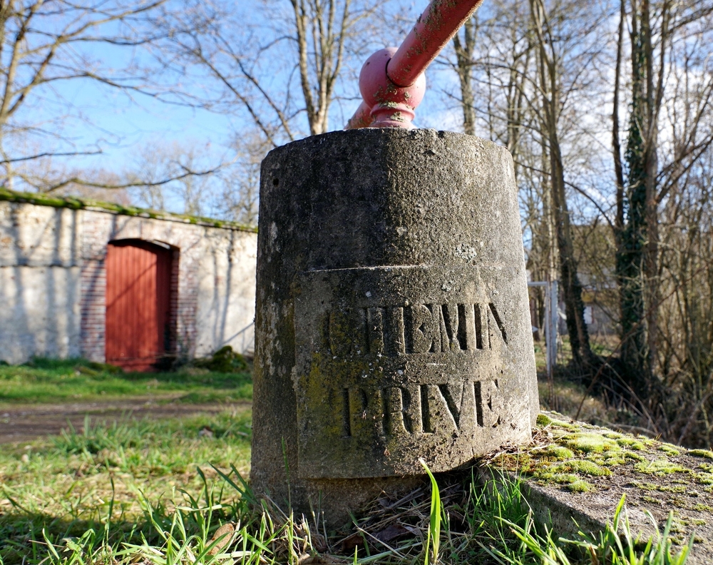 29 01 26 Grandchamps (28).jpg