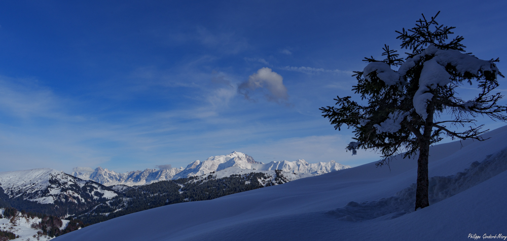2026_02_08_007_AravisVueMontBlanc.jpg