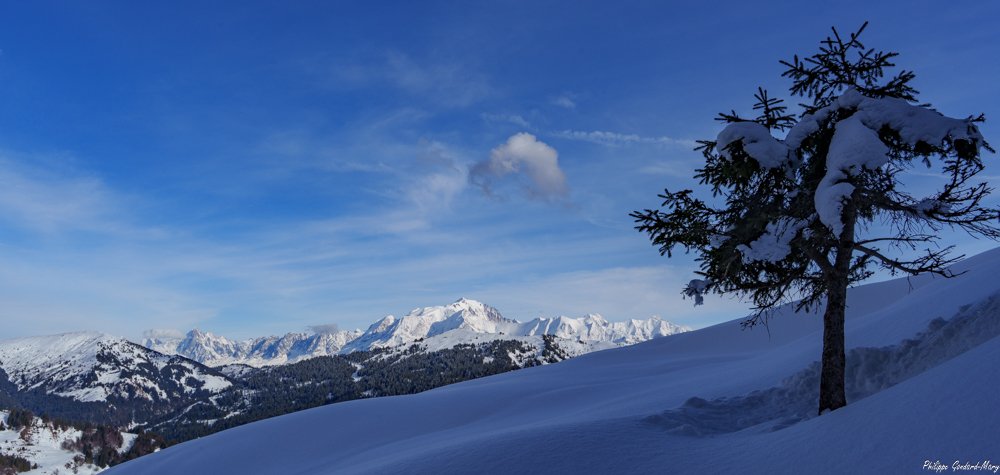 2026_02_08_007_AravisVueMontBlanc.jpg