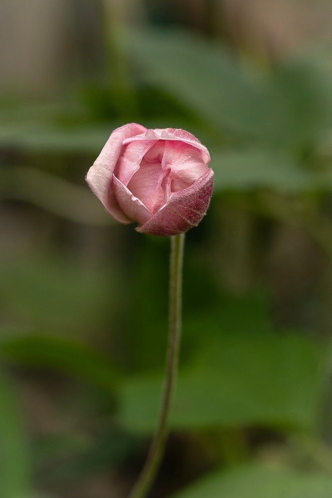 2G6A6901.jpg