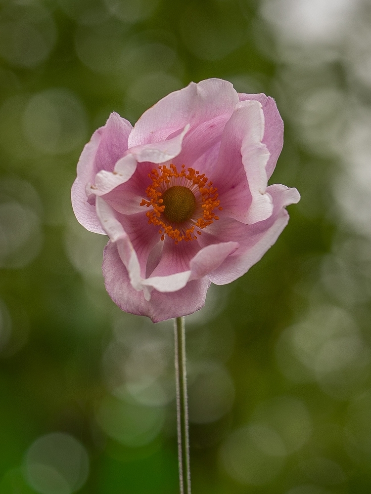 2G6A6910.jpg