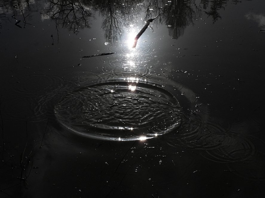 CR tête en bas 1.JPG