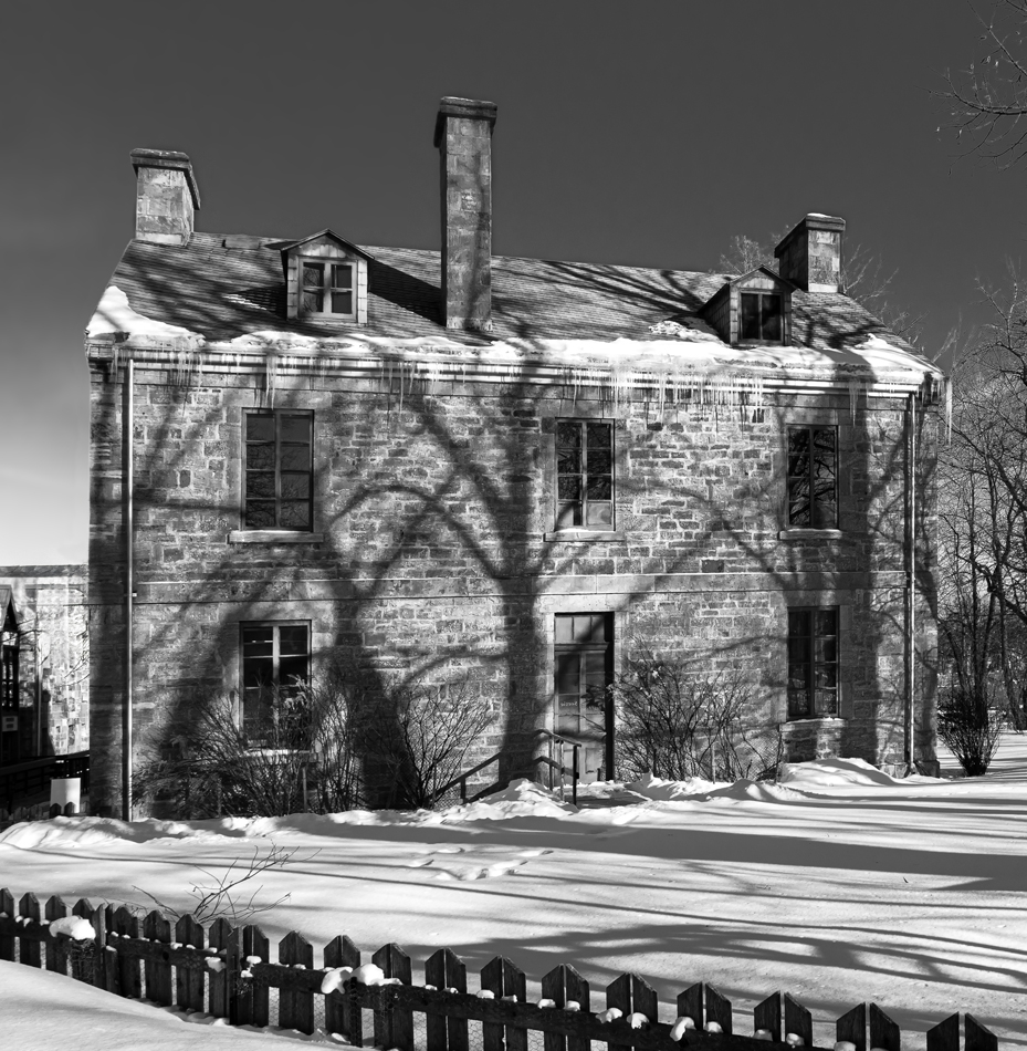 DSD06570web.jpg