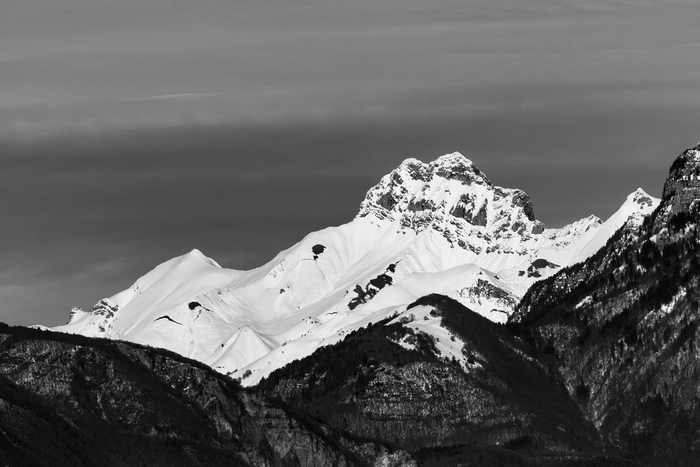 IMG_3521.jpg