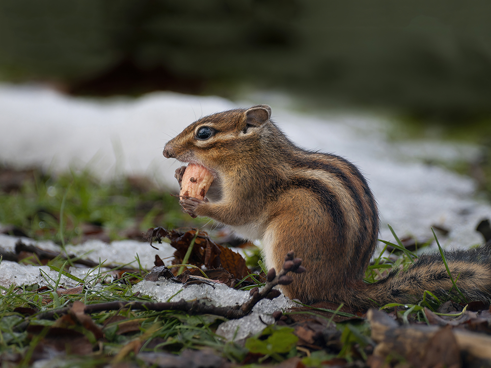 P1026741-D copy_2m-S_1000.jpg