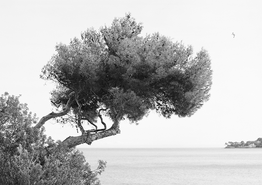 Saint-Jean-Cap-Ferrat.jpg