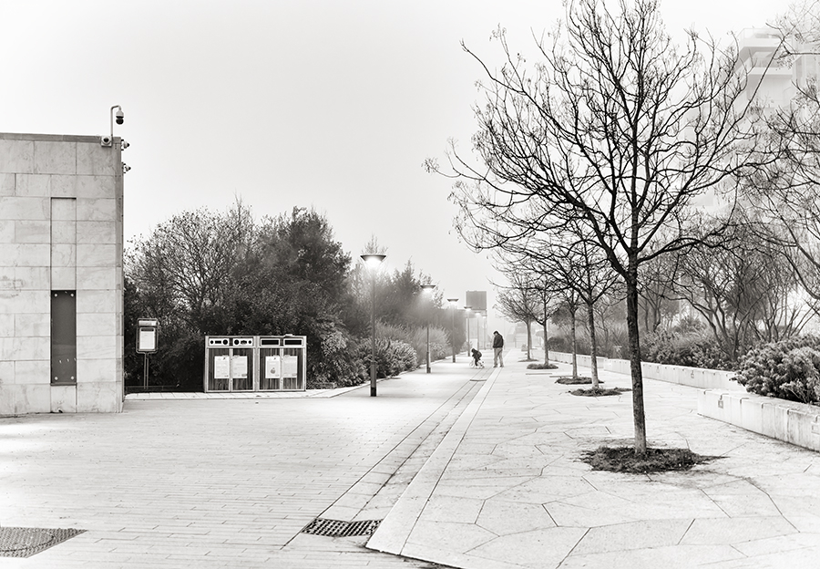 Sur le chemin de l'école.jpg