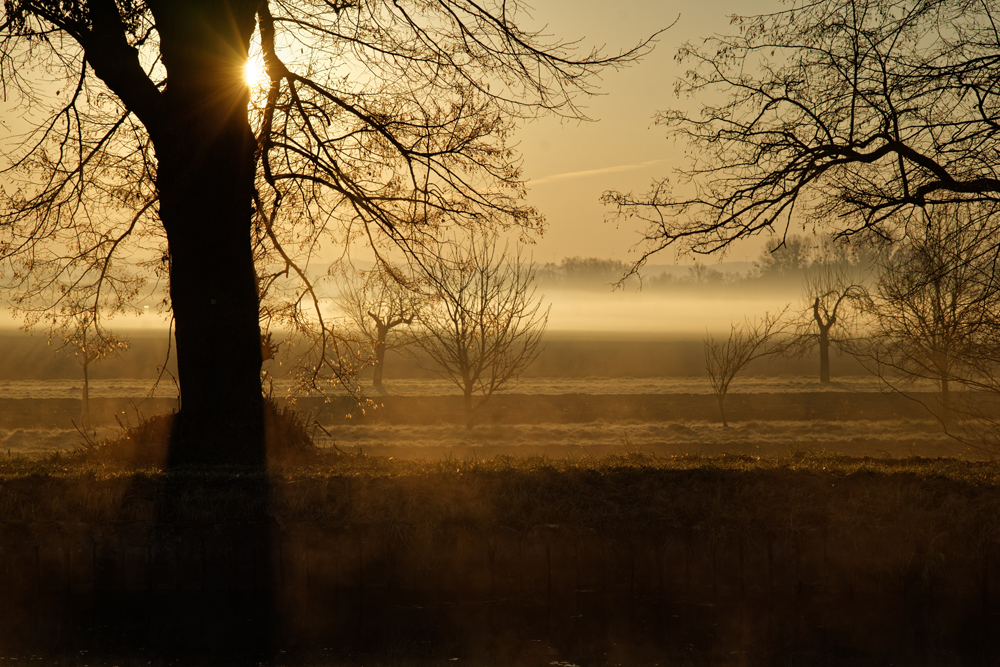 obenheim boofzheim 100mm (9).jpg