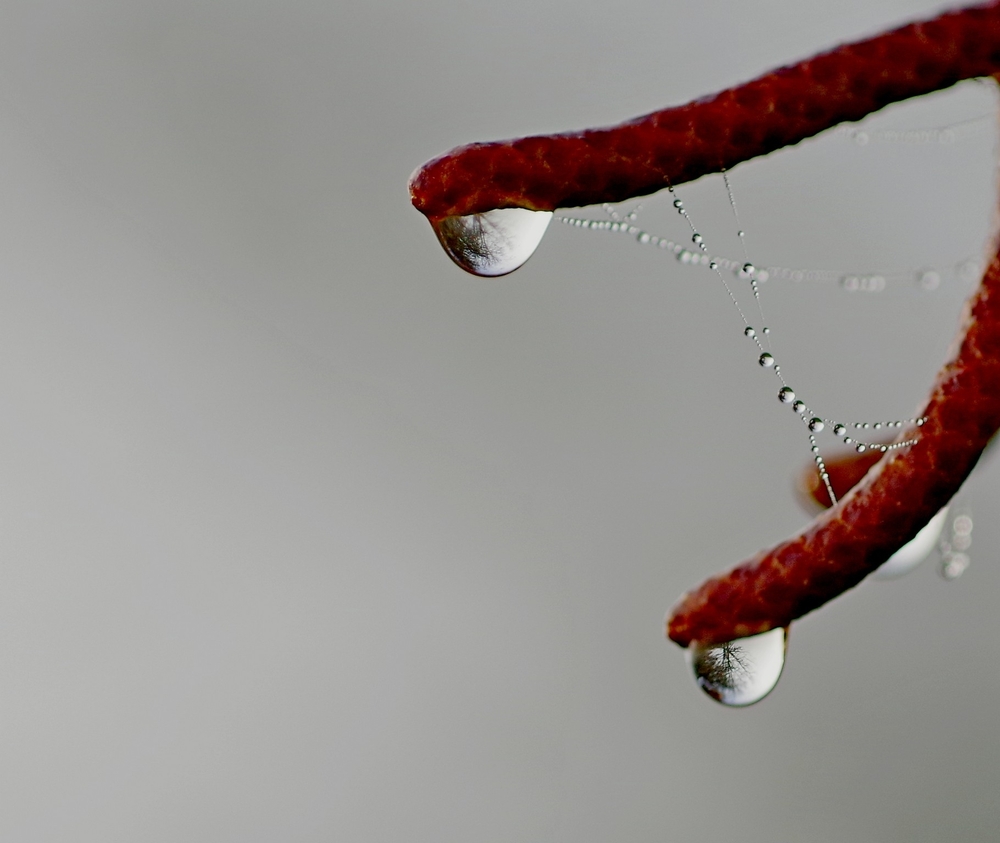 25 02 26 GOUTTES ET TOILES (19).jpg