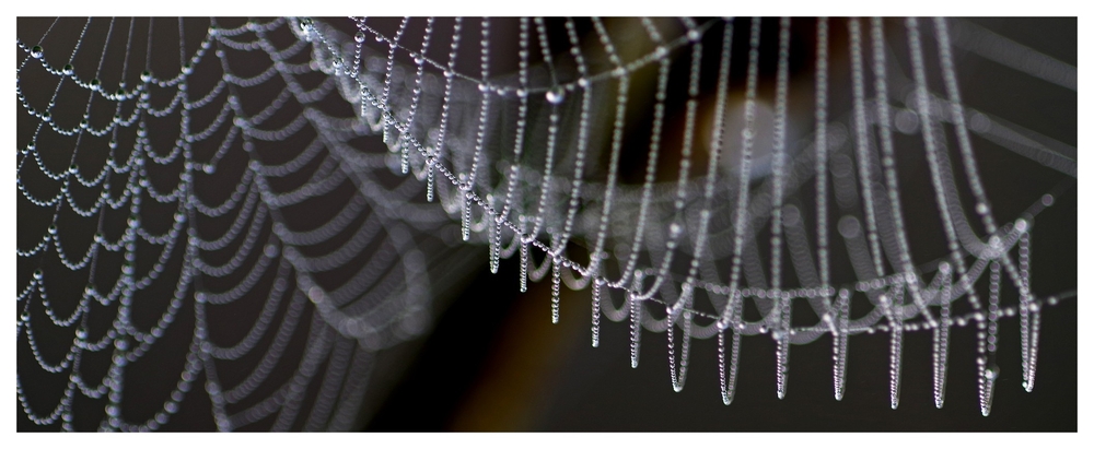 25 02 26 GOUTTES ET TOILES (7).jpg