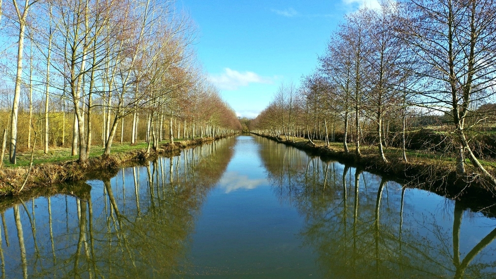 29 01 26 Grandchamps (31).jpg