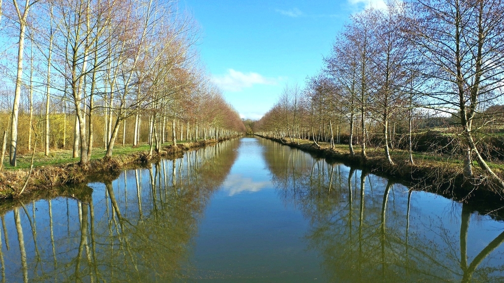 29 01 26 Grandchamps (31)r.jpg