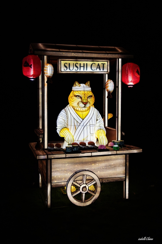 odyssée lumineuse 1 fp.jpg