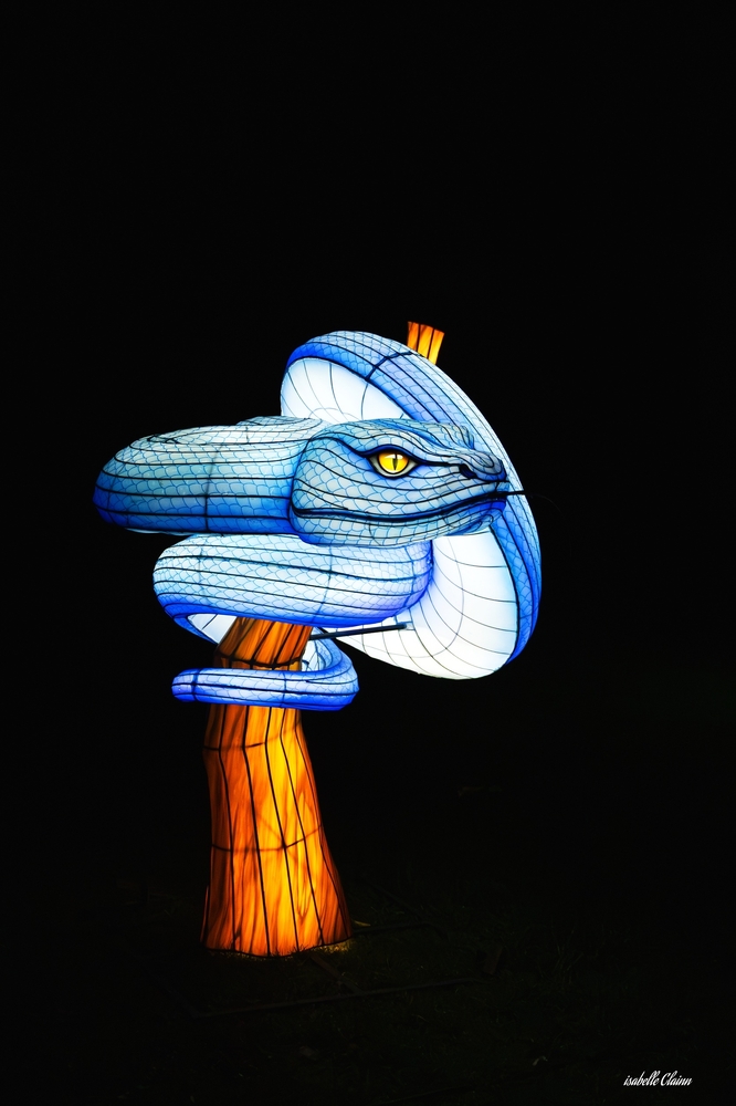 odyssée lumineuse 2 fp.jpg