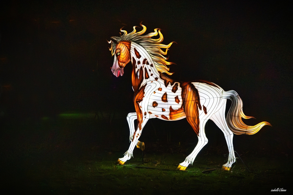 odyssée lumineuse 6 fp.jpg