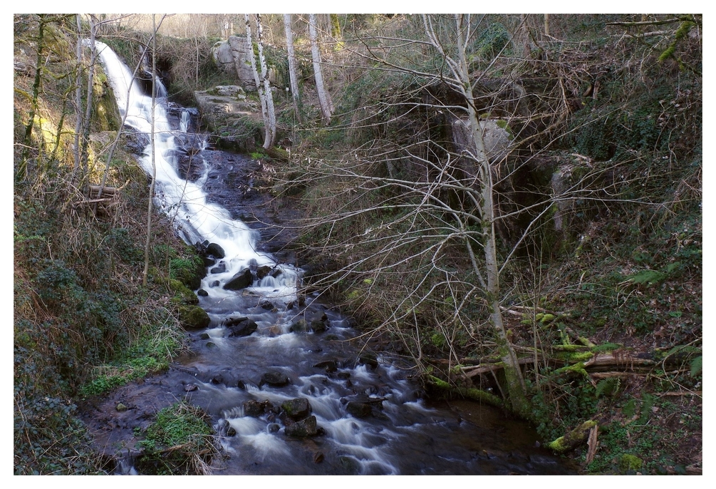 04 mars 2026 F 01 Gorges de Narvau (8).jpg