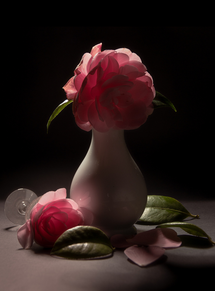 25AA3647_PS_small.jpg